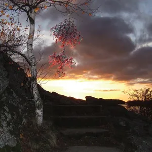 Kemialliset Ystävät